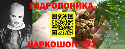 PSILOCYBIN Анапа