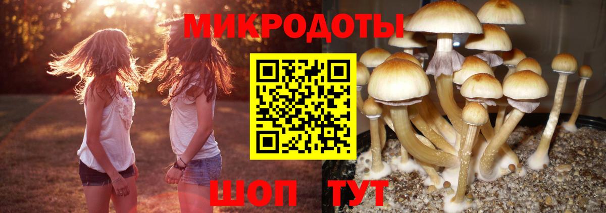 Кашира  Псилоцибиновые грибы Magic Shrooms  Вход с VPN 